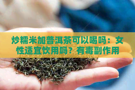 炒糯米加普洱茶可以喝吗：女性适宜饮用吗？有副作用吗？