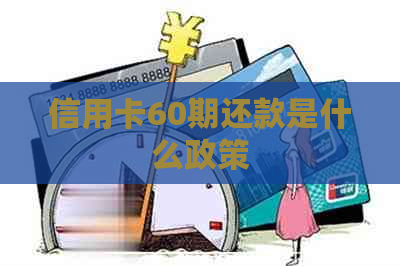 信用卡60期还款是什么政策