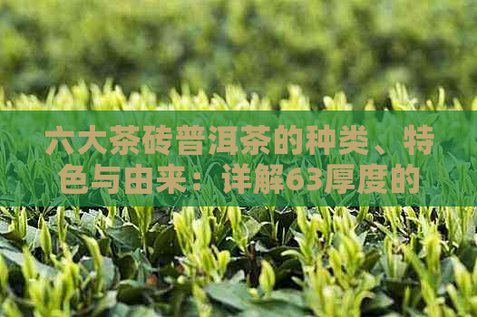 六大茶砖普洱茶的种类、特色与由来：详解63厚度的山63厚砖普洱茶