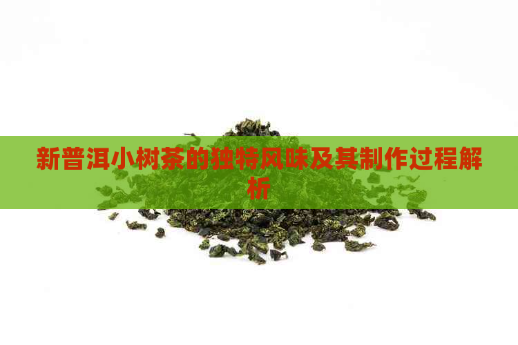 新普洱小树茶的独特风味及其制作过程解析