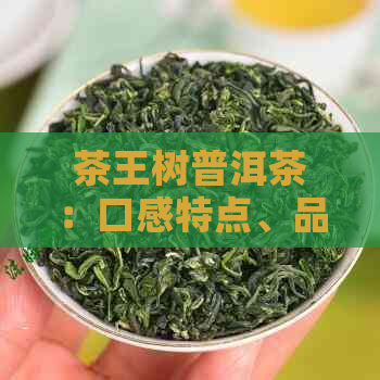 茶王树普洱茶：口感特点、品鉴方法与适合的饮用场景全面解析