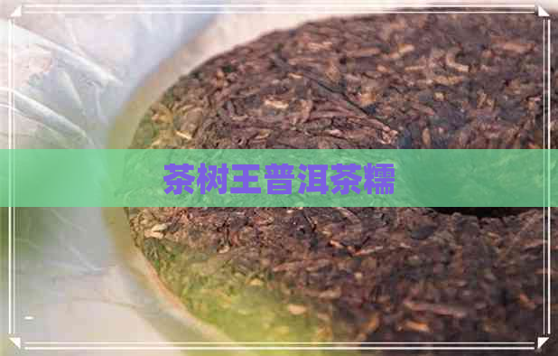 茶树王普洱茶糯