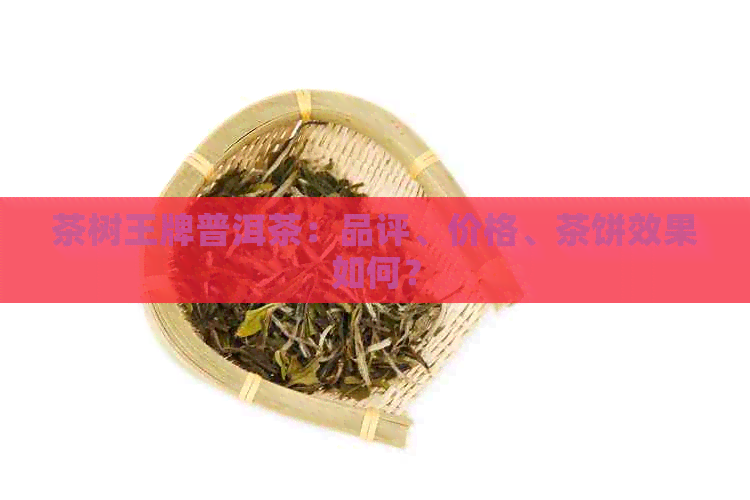 茶树王牌普洱茶：品评、价格、茶饼效果如何？