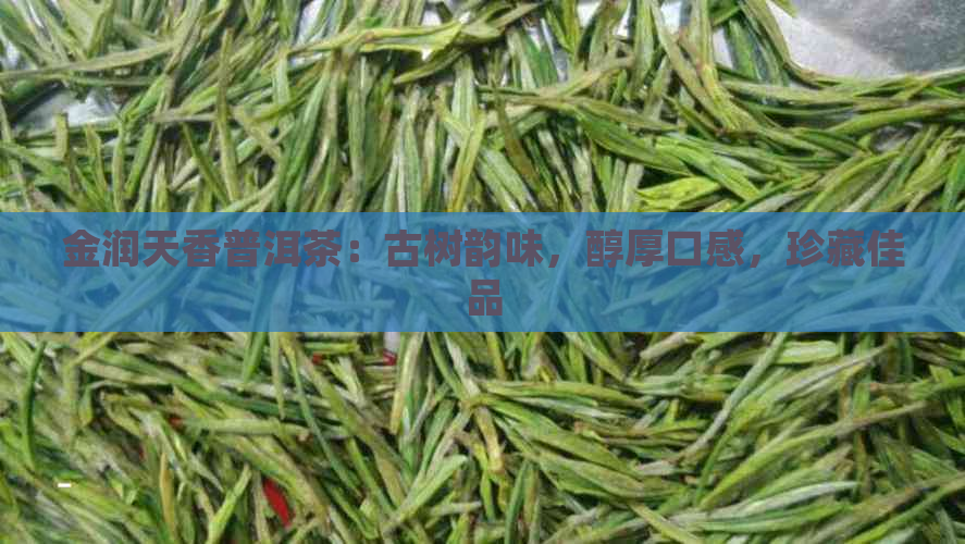 金润天香普洱茶：古树韵味，醇厚口感，珍藏佳品