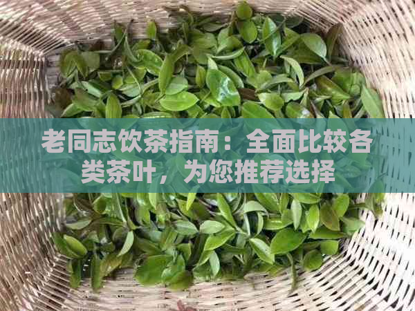 老同志饮茶指南：全面比较各类茶叶，为您推荐选择