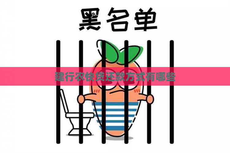 建行农快贷还款方式有哪些