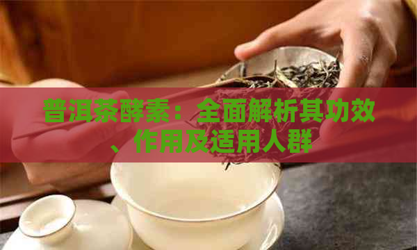 普洱茶酵素：全面解析其功效、作用及适用人群