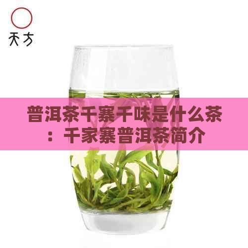 普洱茶千寨千味是什么茶：千家寨普洱茶简介