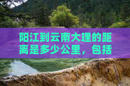 阳江到云南大理的距离是多少公里，包括高速公路的长度