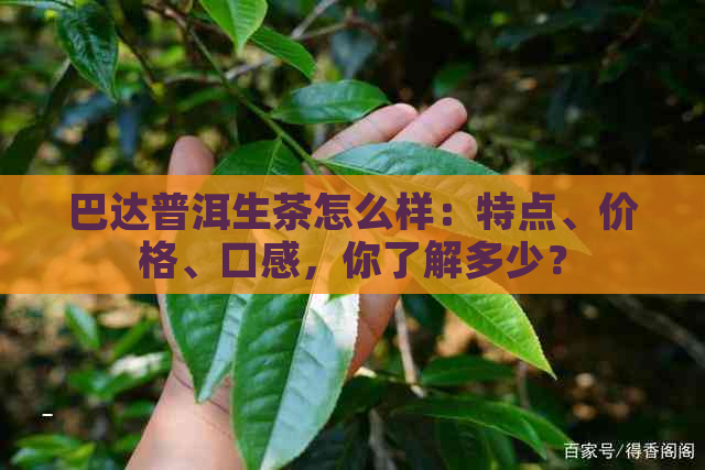 巴达普洱生茶怎么样：特点、价格、口感，你了解多少？