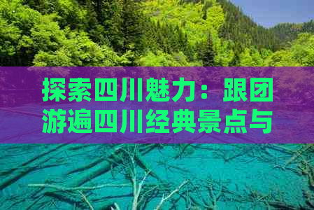 探索四川魅力：跟团游遍四川经典景点与风情体验