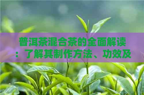 普洱茶混合茶的全面解读：了解其制作方法、功效及适合的饮用场景