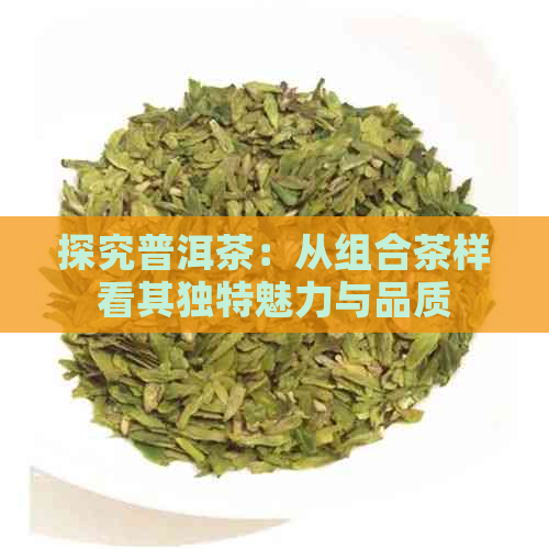 探究普洱茶：从组合茶样看其独特魅力与品质