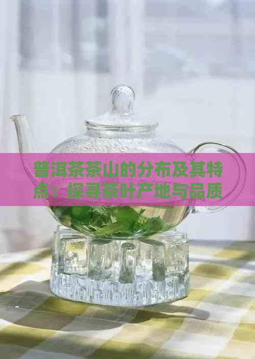 普洱茶茶山的分布及其特点：探寻茶叶产地与品质关系的全貌