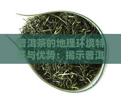 普洱茶的地理环境特征与优势：揭示普洱茶产地独特魅力