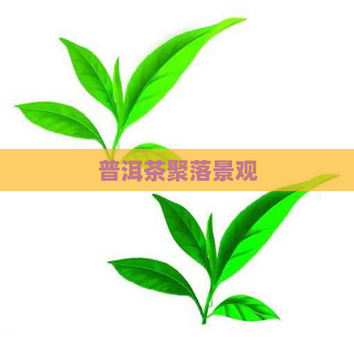 普洱茶聚落景观