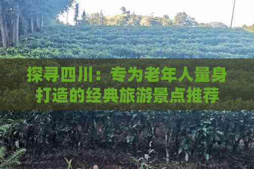 探寻四川：专为老年人量身打造的经典旅游景点推荐