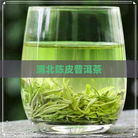 浦北陈皮普洱茶