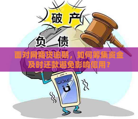 面对网商贷逾期，如何筹集资金及时还款避免影响信用？