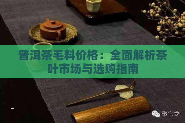 普洱茶毛料价格：全面解析茶叶市场与选购指南