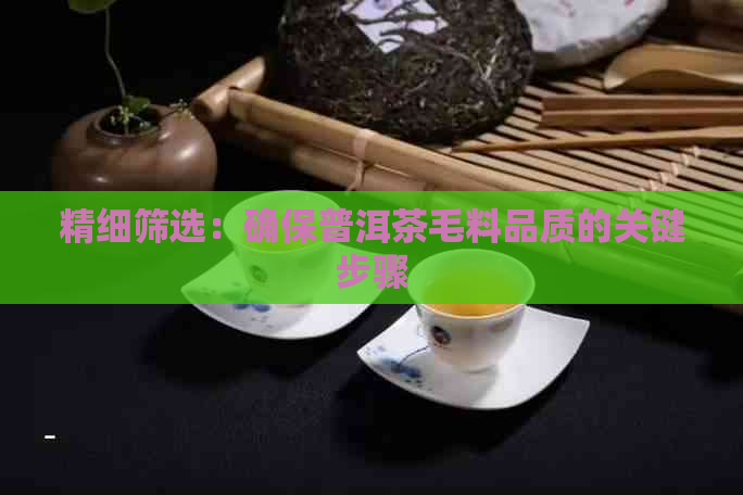 精细筛选：确保普洱茶毛料品质的关键步骤