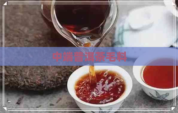 中端普洱茶毛料