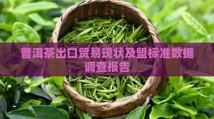 普洱茶出口贸易现状及盟标准数据调查报告