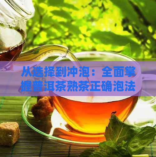 从选择到冲泡：全面掌握普洱茶熟茶正确泡法与技巧，让您品尝到口感！