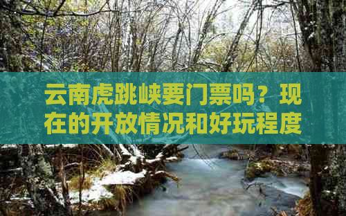 云南虎跳峡要门票吗？现在的开放情况和好玩程度如何？门票价格是多少？