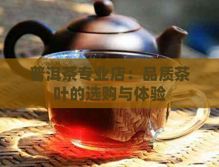 普洱茶专业店：品质茶叶的选购与体验