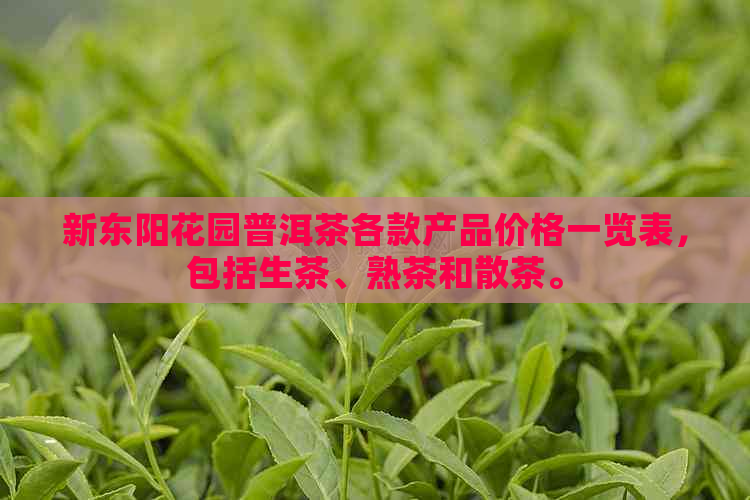 新东阳花园普洱茶各款产品价格一览表，包括生茶、熟茶和散茶。