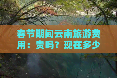 春节期间云南旅游费用：贵吗？现在多少钱？