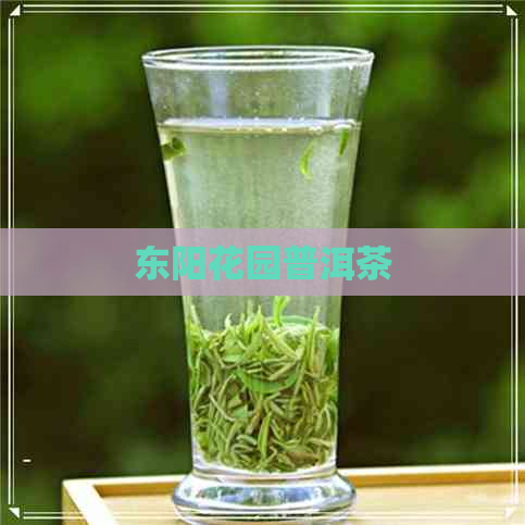 东阳花园普洱茶