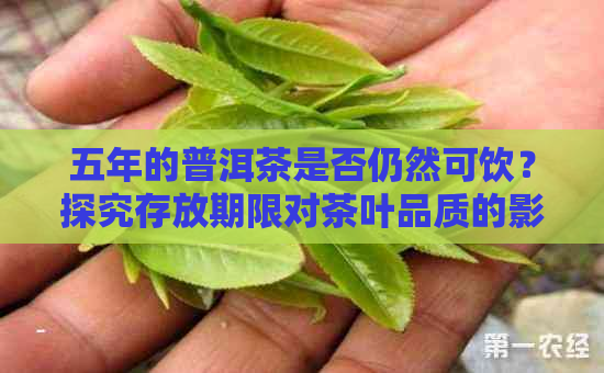 五年的普洱茶是否仍然可饮？探究存放期限对茶叶品质的影响