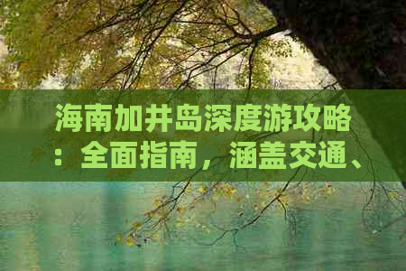 海南加井岛深度游攻略：全面指南，涵盖交通、住宿、活动与注意事项