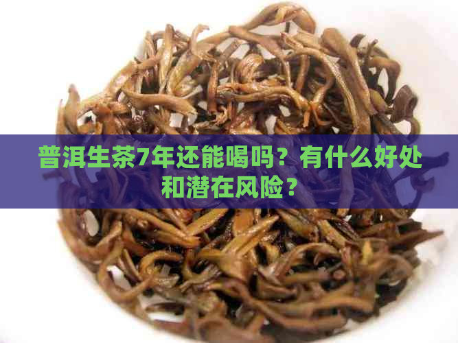 普洱生茶7年还能喝吗？有什么好处和潜在风险？