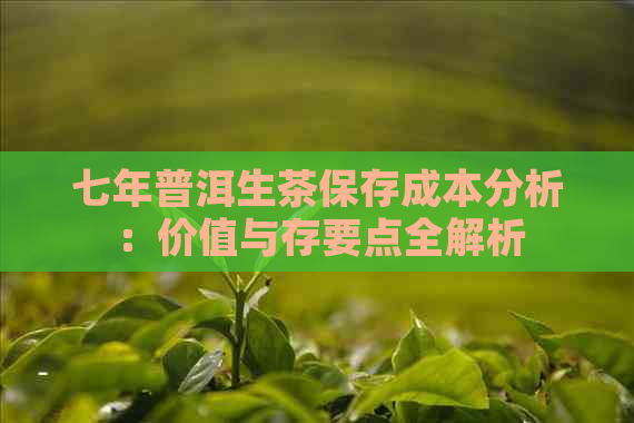 七年普洱生茶保存成本分析：价值与存要点全解析