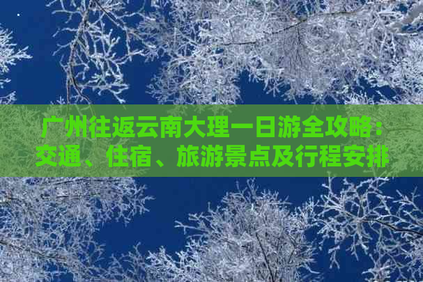 广州往返云南大理一日游全攻略：交通、住宿、旅游景点及行程安排详解