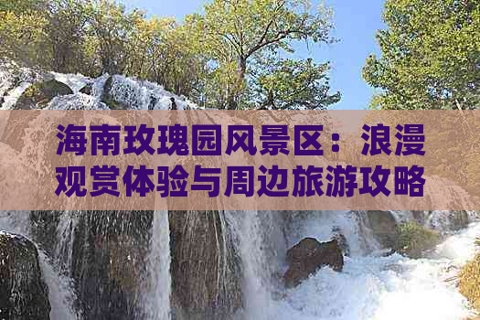 海南玫瑰园风景区：浪漫观赏体验与周边旅游攻略大全