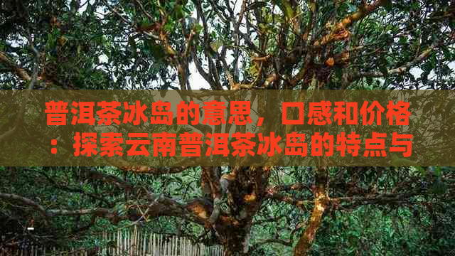 普洱茶冰岛的意思，口感和价格：探索云南普洱茶冰岛的特点与价值