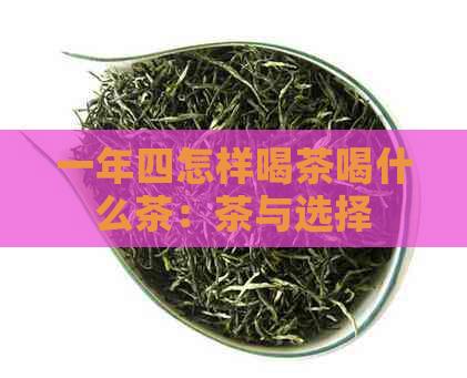 一年四怎样喝茶喝什么茶：茶与选择