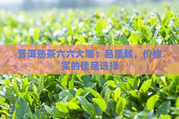 普洱熟茶六六大顺：品质越，价格实的佳品选择