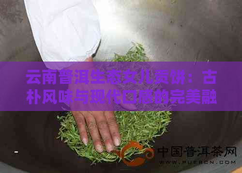 云南普洱生态女儿贡饼：古朴风味与现代口感的完美融合