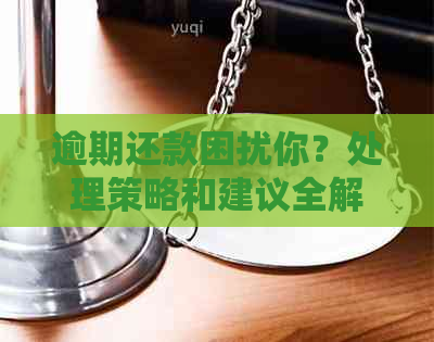 逾期还款困扰你？处理策略和建议全解析！