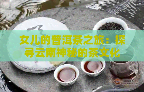 女儿的普洱茶之旅：探寻云南神秘的茶文化