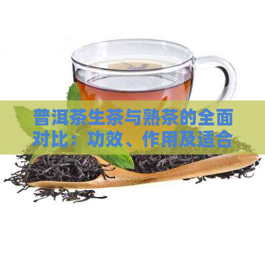 普洱茶生茶与熟茶的全面对比：功效、作用及适合人群解析