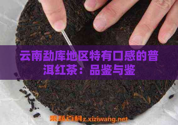 云南勐库地区特有口感的普洱红茶：品鉴与鉴