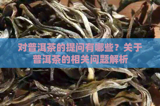 对普洱茶的提问有哪些？关于普洱茶的相关问题解析