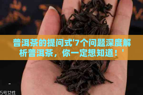 普洱茶的提问式'7个问题深度解析普洱茶，你一定想知道！'