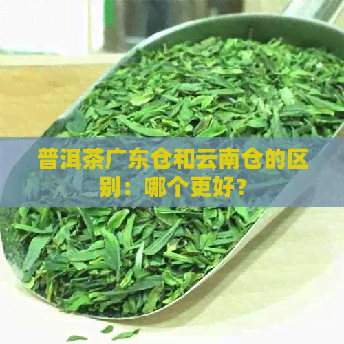 普洱茶广东仓和云南仓的区别：哪个更好？